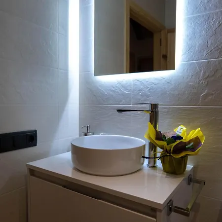 Niu De Queralt Apartment Vic